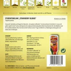 Studentenblume Strawberry Blonde | Studentenblumensamen Von N.L. Chrestensen