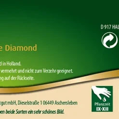 Combipack Tulpen Mix (10 Stück) | Tulpenzwiebeln Von Quedlinburger