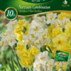 Combipack Narzissen Mix (5 Stück) | Narzissenzwiebeln Von Quedlinburger -Günstiges Blattiva Geschäft 546151 Combipack Narzissen Mix 309730 qb 0