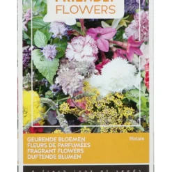 Duftblumen Mischung (15 M²) | Blumenwiese Von Buzzy Seeds