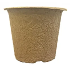 7 X 10,5 Cm Anzuchttopf NT Rund (800 Stück) | Anzuchttöpfe Von Fertil 7 7 X 10,5 Cm Anzuchttopf NT Rund (800 Stück) | Anzuchttöpfe Von Fertil -Günstiges Blattiva Geschäft 548139 7 x 10 5 cm Anzuchttoepfe rund 800 Stueck 591 C1 1