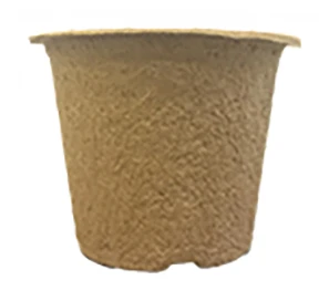 7 X 10,5 Cm Anzuchttopf NT Rund (800 Stück) | Anzuchttöpfe Von Fertil 5 7 X 10,5 Cm Anzuchttopf NT Rund (800 Stück) | Anzuchttöpfe Von Fertil - Image 3