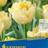 Gefüllte Frühe Tulpe Verona (10 Stück) | Tulpenzwiebeln Von Kiepenkerl -Günstiges Blattiva Geschäft 549341 Gefuellte fruehe Tulpe Verona 10 Stueck 504615 0