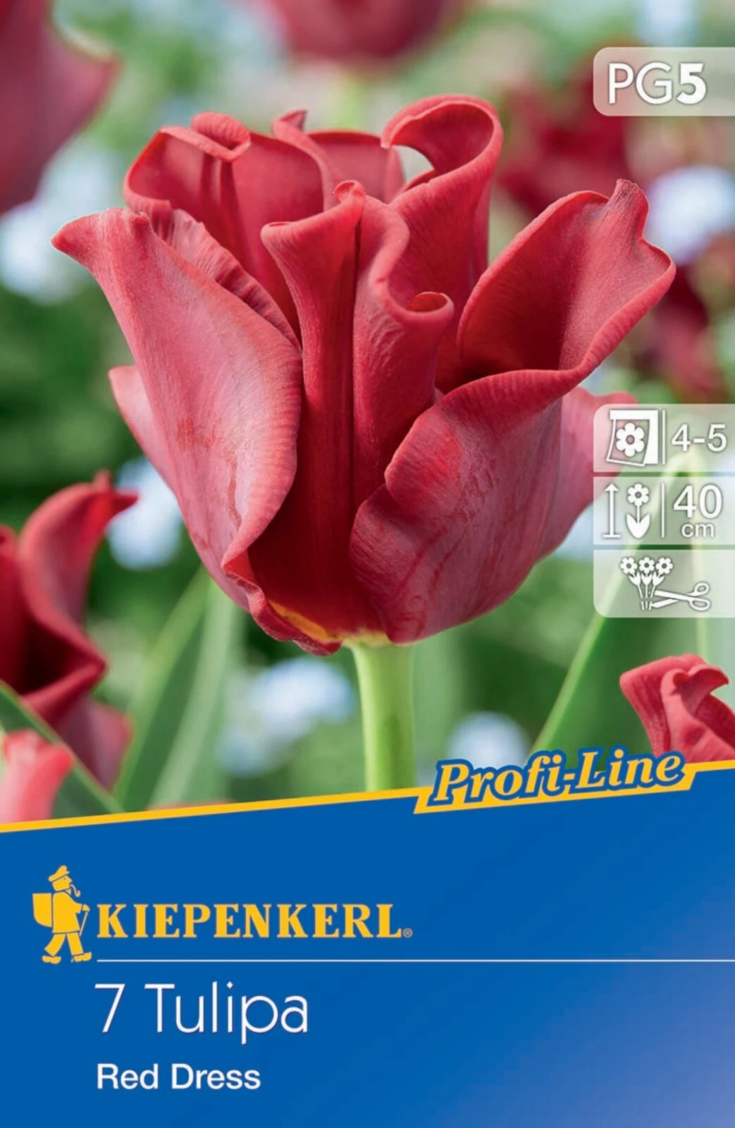 Kronentulpe Red Dress (7 Stück) | Tulpenzwiebeln Von Kiepenkerl 4 Kronentulpe Red Dress (7 Stück) | Tulpenzwiebeln Von Kiepenkerl - Image 2