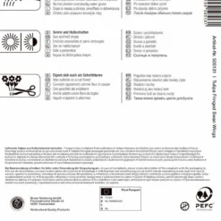 Gefranste Tulpe Swan Wings (7 Stück) | Tulpenzwiebeln Von Kiepenkerl