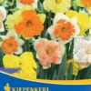 Narzissenmischung Orchideenblütige Mischung (5 Stück) | Narzissenzwiebeln Von Kiepenkerl -Günstiges Blattiva Geschäft 549376 Narzissenmischung Orchideenbluetige Mischung 5 Stueck 505766 0