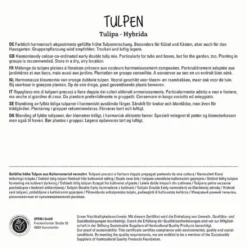 Tulpen Mischung (10 Stück) | Tulpenmischung Von Sperli