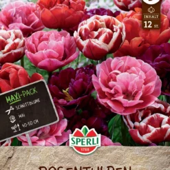 Rosentulpen Mischung (12 Stück) | Tulpenzwiebeln Von Sperli