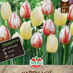 Frühlingsgarten Happy Mix (12 Stück) | Triumph-Tulpen Von Sperli