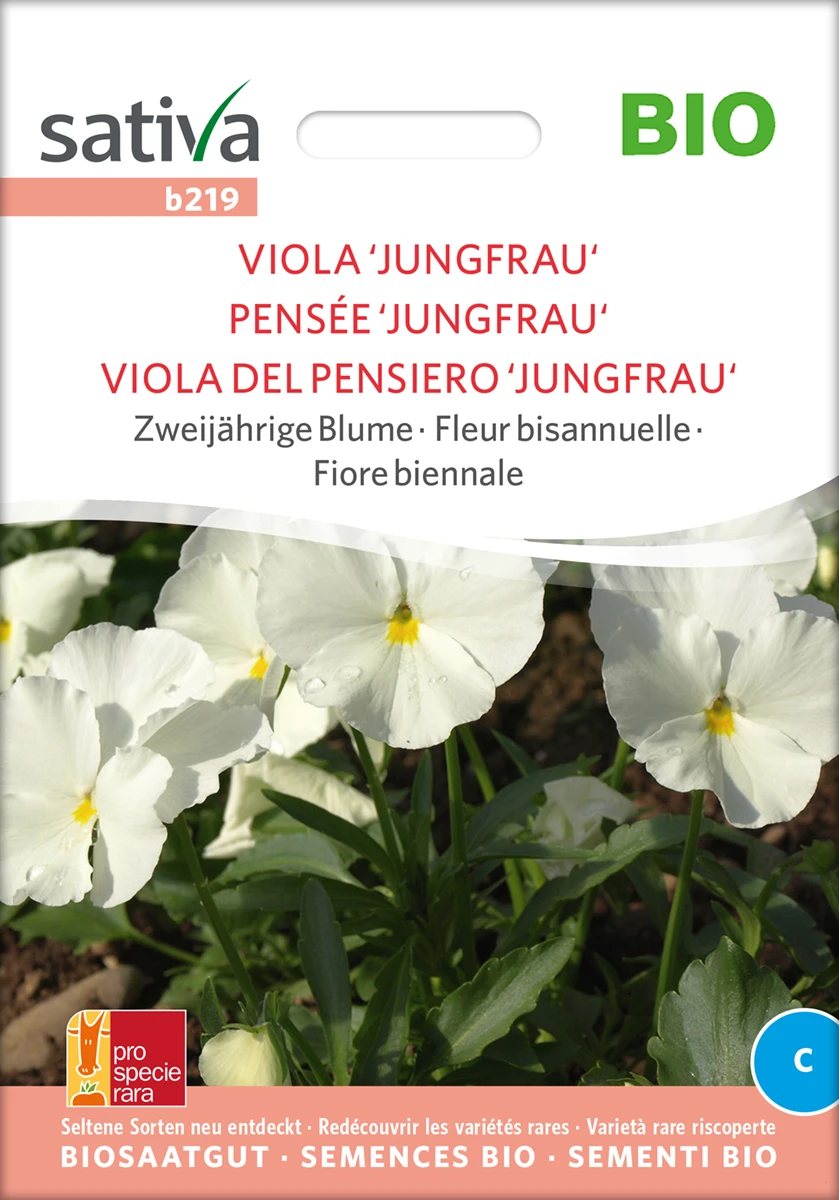 Viola Jungfrau | BIO Hornveilchensamen Von Sativa Rheinau 3 Viola Jungfrau | BIO Hornveilchensamen Von Sativa Rheinau