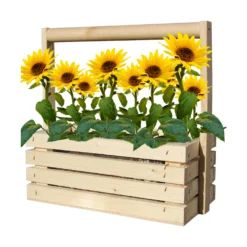 Neu eingetroffen -Günstiges Blattiva Geschäft 550251 Fresh Farm Sonnenblume Mini 7025130 bz 1