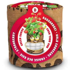 Günstiges Blattiva Geschäft -Günstiges Blattiva Geschäft 550257 Greensquad Suesse Erdbeere 18027706 bz 0