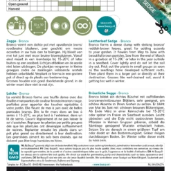 Bräunliche Segge Bronco | Ziergrassamen Von Buzzy Seeds