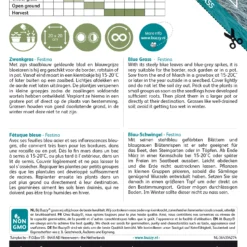 Blau-Schwingel Festina | Blauschwingelsamen Von Buzzy Seeds