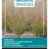 Prärie-Tropfengras | Ziergrassamen Von Buzzy Seeds -Günstiges Blattiva Geschäft 550649 Praerie Tropfengras 083090 by 0