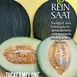 Zuckermelone Tendral Negro Tardio | BIO Melonensamen Von Reinsaat