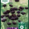 Kornblume Black Boy | Kornblumensamen Von Nelson Garden -Günstiges Blattiva Geschäft 552238 Kornblume Black Boy 93362A ng 0