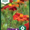 Ringelblumen Linnaeus | Ringelblumensamen Von Nelson Garden -Günstiges Blattiva Geschäft 552247 Ringelblumen Linnaeus 95644A ng 0