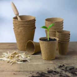 10 Cm Anzuchttopf Rund Auf Holzfaser Basis | Anzuchttöpfe Von FLORTUS -Günstiges Blattiva Geschäft 552305 10 cm Anzuchttopf rund auf Holzfaser Basis 15 Stueck 2000 0597 5