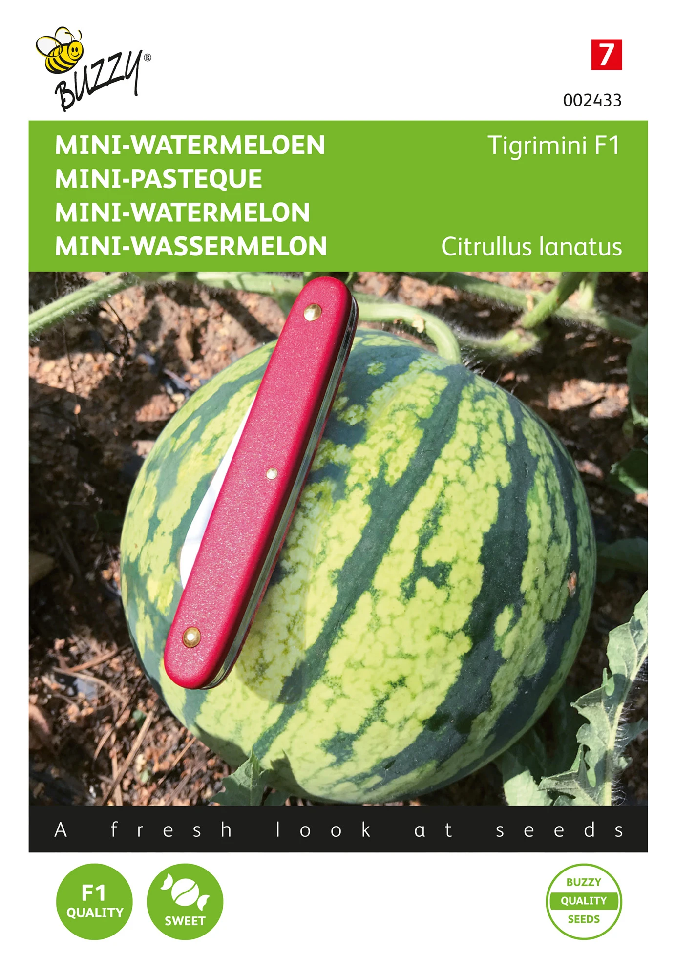 Wassermelone Tigrimini | Wassermelonensamen Von Buzzy Seeds 4 Wassermelone Tigrimini | Wassermelonensamen Von Buzzy Seeds - Image 2