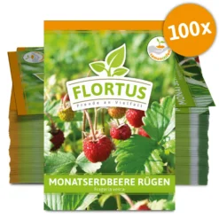 Monatserdbeere Rügen (100 Tütchen) | Erdbeersamen Von FLORTUS