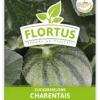 Zuckermelone Charentaise (100 Tütchen) | Zuckermelonensamen Von FLORTUS -Günstiges Blattiva Geschäft 555107 Zuckermelone Charentais 100 Tuetchen 2000 0774 100x 1