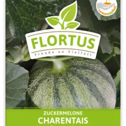 Zuckermelone Charentaise (100 Tütchen) | Zuckermelonensamen Von FLORTUS