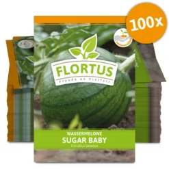 Wassermelone Sugar Baby (100 Tütchen) | BIO Wassermelonensamen Von FLORTUS