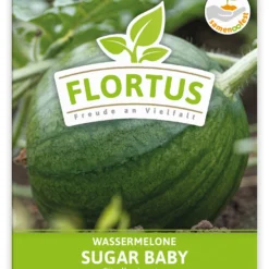 Wassermelone Sugar Baby (100 Tütchen) | BIO Wassermelonensamen Von FLORTUS 7 Wassermelone Sugar Baby (100 Tütchen) | BIO Wassermelonensamen Von FLORTUS -Günstiges Blattiva Geschäft 555109 Wassermelone Sugar Baby 100 Tuetchen 2000 0776 100x 1