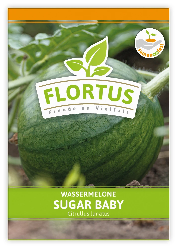 Wassermelone Sugar Baby (100 Tütchen) | BIO Wassermelonensamen Von FLORTUS 5 Wassermelone Sugar Baby (100 Tütchen) | BIO Wassermelonensamen Von FLORTUS - Image 3