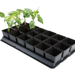 54,5 X 31 X 10 Cm Professionelles Anzucht-Komplettset Groß | Anzucht-Komplettset Von Garland 5 54,5 X 31 X 10 Cm Professionelles Anzucht-Komplettset Groß | Anzucht-Komplettset Von Garland -Günstiges Blattiva Geschäft 558861 54 5 x 31 x 10 cm Professionelles Anzucht Komplettset Gross W0062 gl 1