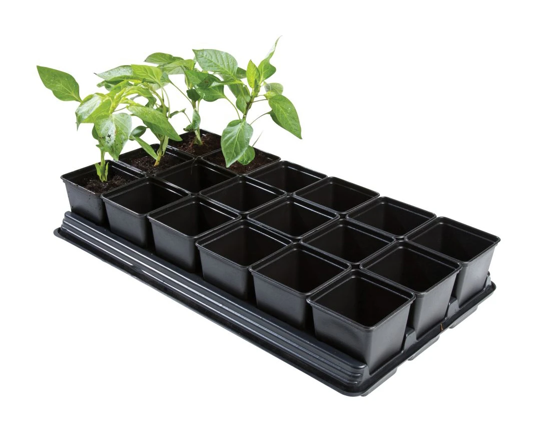 54,5 X 31 X 10 Cm Professionelles Anzucht-Komplettset Groß | Anzucht-Komplettset Von Garland 4 54,5 X 31 X 10 Cm Professionelles Anzucht-Komplettset Groß | Anzucht-Komplettset Von Garland - Image 2