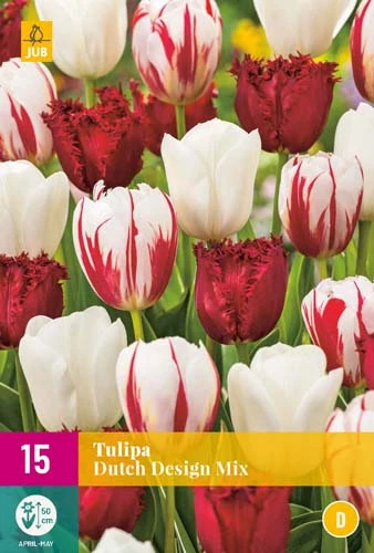 Tulpe Dutch Design Mix (15 Stück) | Tulpenzwiebeln Von Jub Holland 3 Tulpe Dutch Design Mix (15 Stück) | Tulpenzwiebeln Von Jub Holland