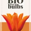 Tulpe Ballerina (7 Stück) | BIO Tulpenzwiebeln Von Jub Holland 1 Tulpe Ballerina (7 Stück) | BIO Tulpenzwiebeln Von Jub Holland -Günstiges Blattiva Geschäft 560034 BIO Tulpe Ballerina 10 Stueck 325100 jb 0