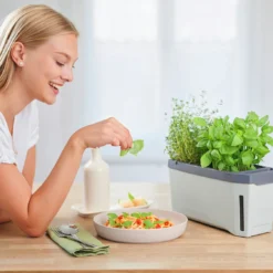 HARRY HERBS Hellgrau Ohne Haube | Kräutertöpfe Von Gusta Garden