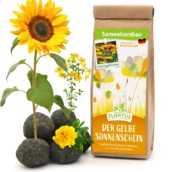 Samenbomben Der Gelbe Sonnenschein (6 Stück) | Blumensamenmischung Von FLORTUS 11 Samenbomben Der Gelbe Sonnenschein (6 Stück) | Blumensamenmischung Von FLORTUS -Günstiges Blattiva Geschäft 562164 Samenbomben Der Gelbe Sonnenschein 6 Stueck 2000 1055 1