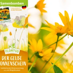 Samenbomben Der Gelbe Sonnenschein (6 Stück) | Blumensamenmischung Von FLORTUS 9 Samenbomben Der Gelbe Sonnenschein (6 Stück) | Blumensamenmischung Von FLORTUS -Günstiges Blattiva Geschäft 562164 Samenbomben Der Gelbe Sonnenschein 6 Stueck 2000 1055 2