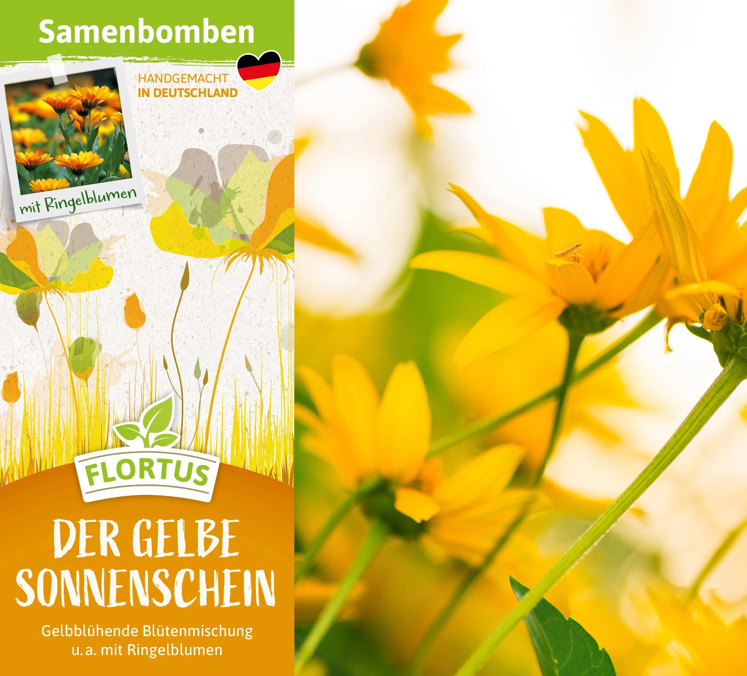 Samenbomben Der Gelbe Sonnenschein (6 Stück) | Blumensamenmischung Von FLORTUS 4 Samenbomben Der Gelbe Sonnenschein (6 Stück) | Blumensamenmischung Von FLORTUS - Image 2