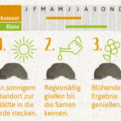 Samenbomben Der Gelbe Sonnenschein (6 Stück) | Blumensamenmischung Von FLORTUS 13 Samenbomben Der Gelbe Sonnenschein (6 Stück) | Blumensamenmischung Von FLORTUS -Günstiges Blattiva Geschäft 562164 Samenbomben Der Gelbe Sonnenschein 6 Stueck 2000 1055 4