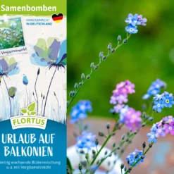 Samenbomben Urlaub Auf Balkonien (6 Stück) | Blumensamenmischung Von FLORTUS 11 Samenbomben Urlaub Auf Balkonien (6 Stück) | Blumensamenmischung Von FLORTUS -Günstiges Blattiva Geschäft 562167 Samenbomben Urlaub auf Balkonien 6 Stueck 2000 1058 2