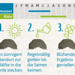 Samenbomben Urlaub Auf Balkonien (6 Stück) | Blumensamenmischung Von FLORTUS 13 Samenbomben Urlaub Auf Balkonien (6 Stück) | Blumensamenmischung Von FLORTUS -Günstiges Blattiva Geschäft 562167 Samenbomben Urlaub auf Balkonien 6 Stueck 2000 1058 4