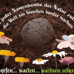 Samenbomben Urlaub Auf Balkonien (6 Stück) | Blumensamenmischung Von FLORTUS 12 Samenbomben Urlaub Auf Balkonien (6 Stück) | Blumensamenmischung Von FLORTUS -Günstiges Blattiva Geschäft 562167 Samenbomben Urlaub auf Balkonien 6 Stueck 2000 1058 5