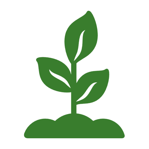 Günstiges Blattiva Geschäft